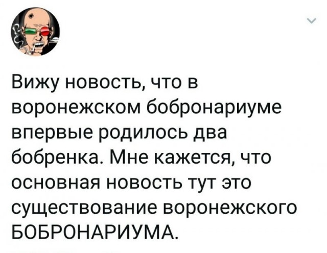 Забавные комментарии из социальных сетей (03.04.23)