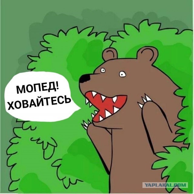 Экспрессия, фон, звук, макияж.