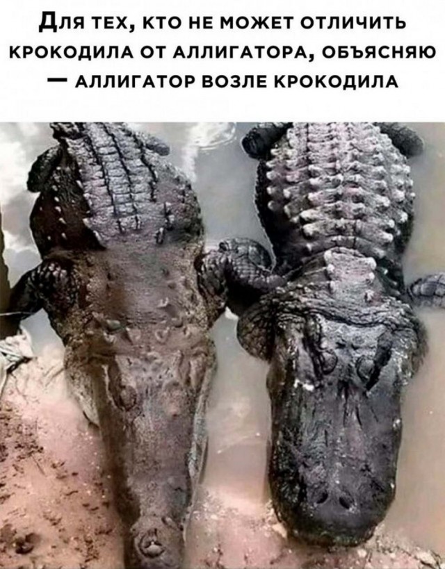 Картинок разной степени @банутости псто №2