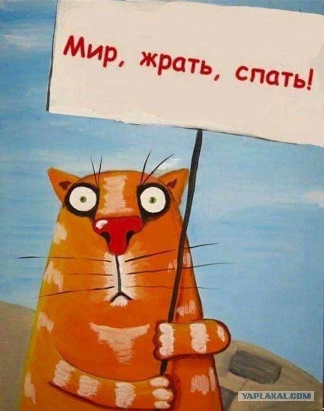 Победная поступь идиотизма по планете – том 15