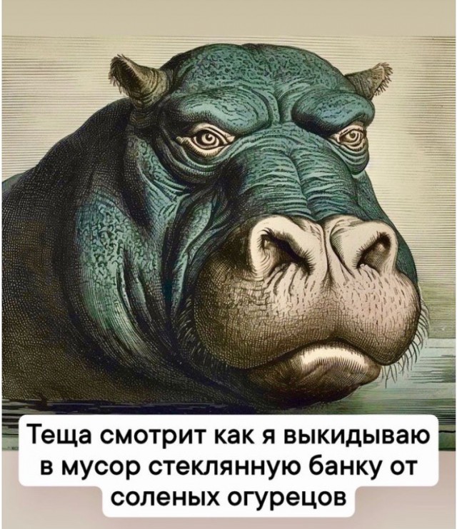 Весёлый полтишок 30.07.23