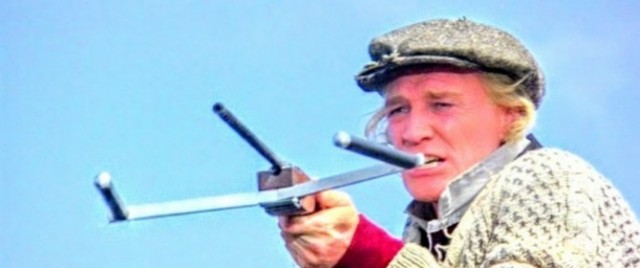 На Камчатке нерпа смогла спастись от косаток, запрыгнув в лодку