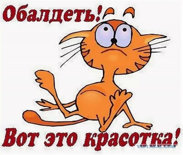 Они своею красотой сияют, улыбкой землю освещают