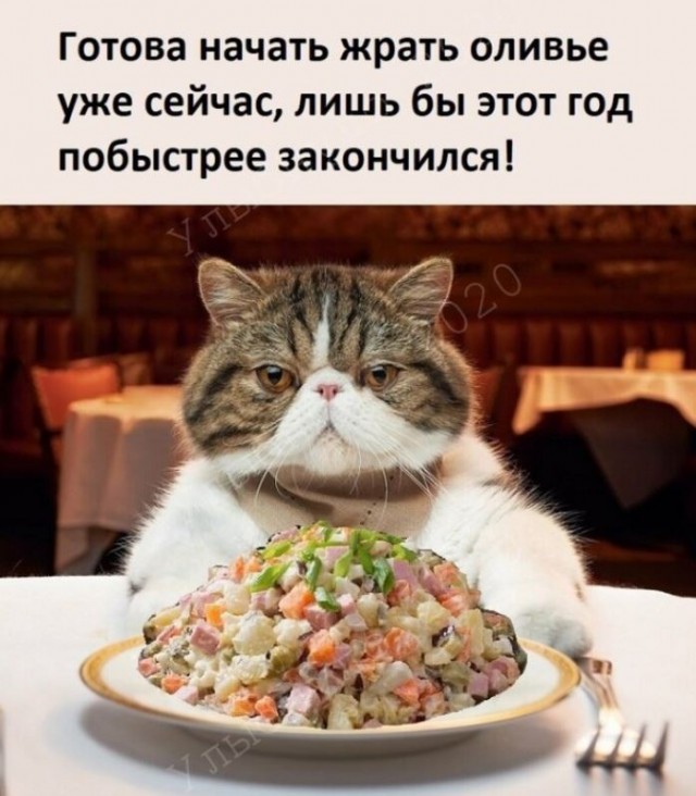 Школа джедаев. Начало