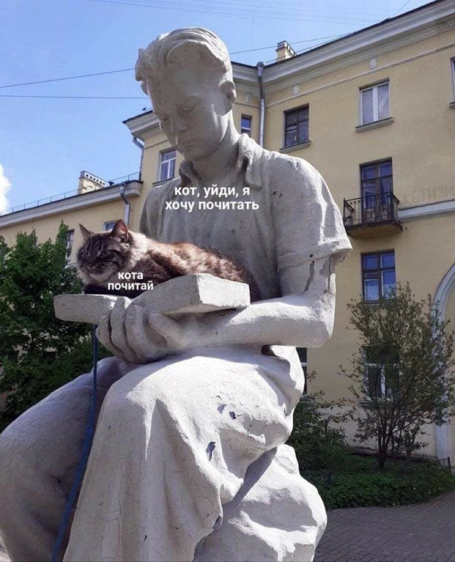 Жизнь домашнего приюта "Котоленд" 412
