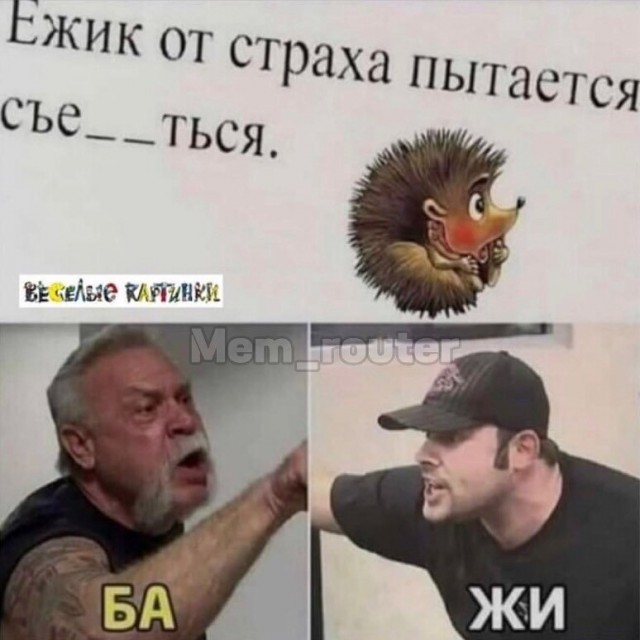 Отряд быстрого деградирования