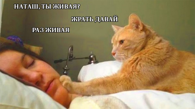Немного картинок и прочей хреноты Vol. 27