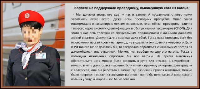 Проводница разлучила хозяина с котом