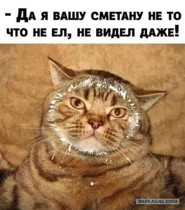 Хусит под катом