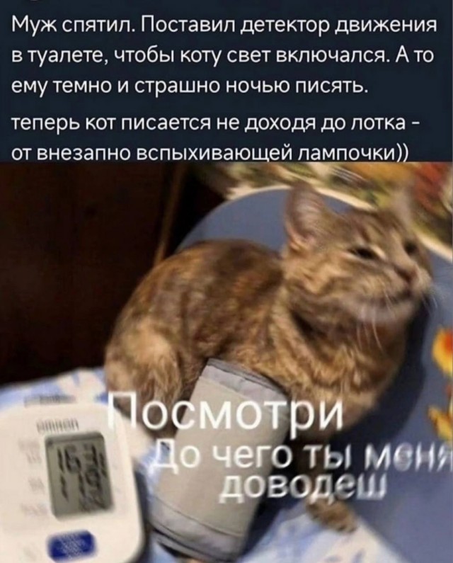 Так себе картинки 21.02.24