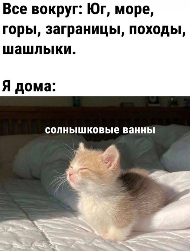 Так себе картинки 12.06.24