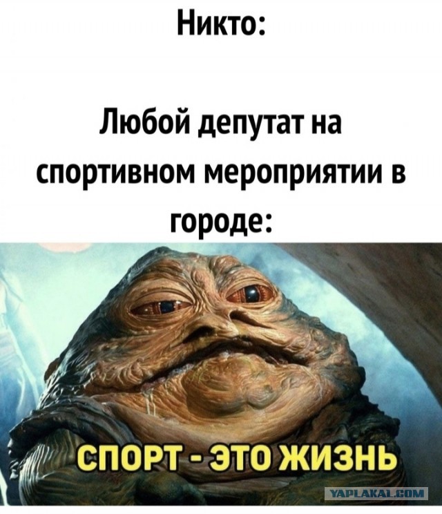 Немного забавных картинок от 18.08.2024