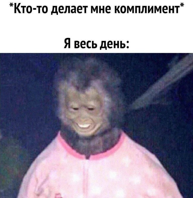 Немного забавных картинок от 23.10.2024