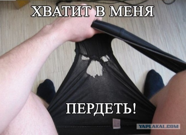 Сразу видно - парень холостяк