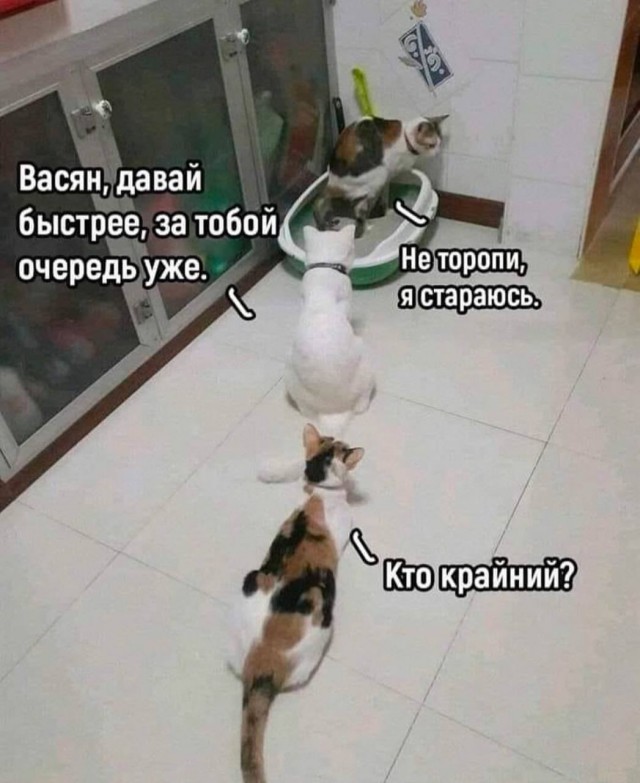 Завалялось тут случайно немного забавных картинок