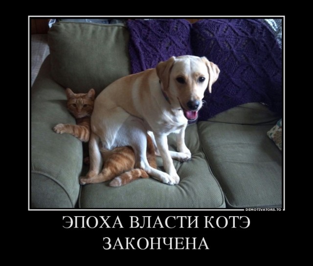 "Вы даже не представляете, насколько мне пофиг"