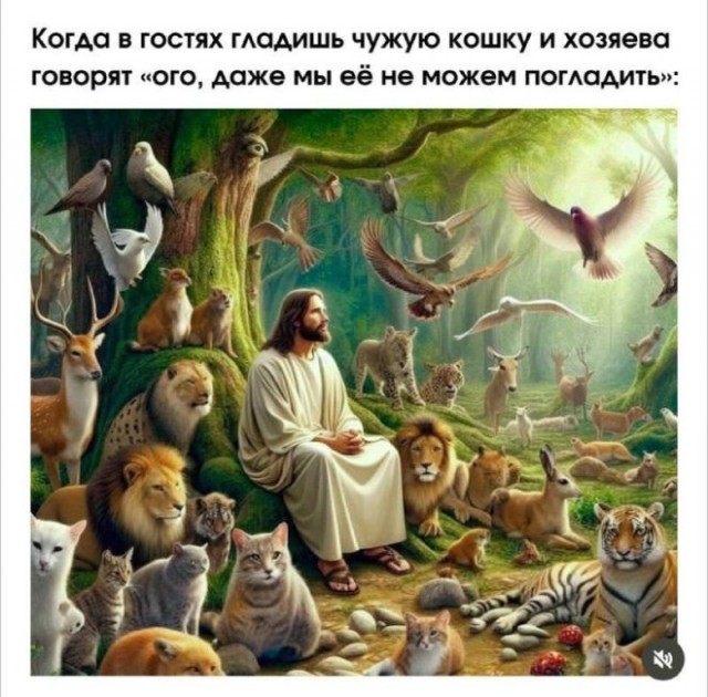 Веселые картинки в маленькую пятницу (12.02)