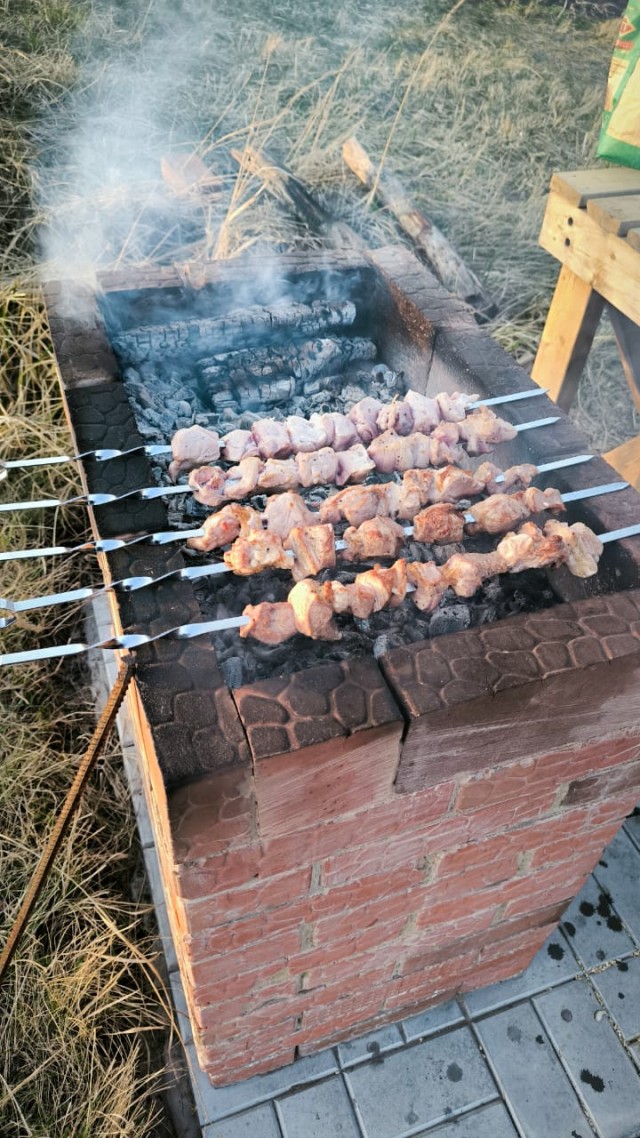 Шашлык-2025: мясо и лук бьют по карману астраханцев, а Дальний Восток плачет у мангала