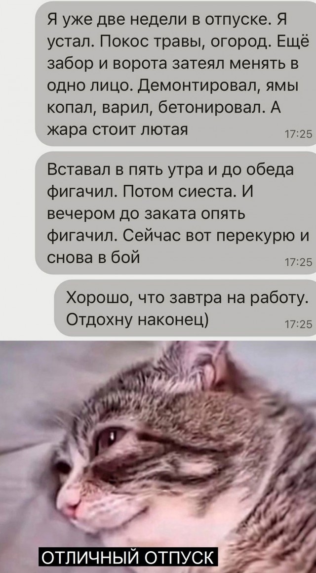 Так себе картинки 25.06.25