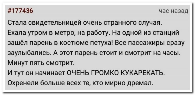 Пятничные бояны