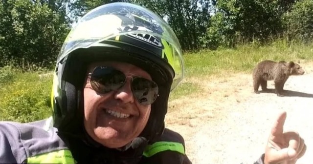 В Румынии медведь растерзал итальянского туриста после селфи с ним