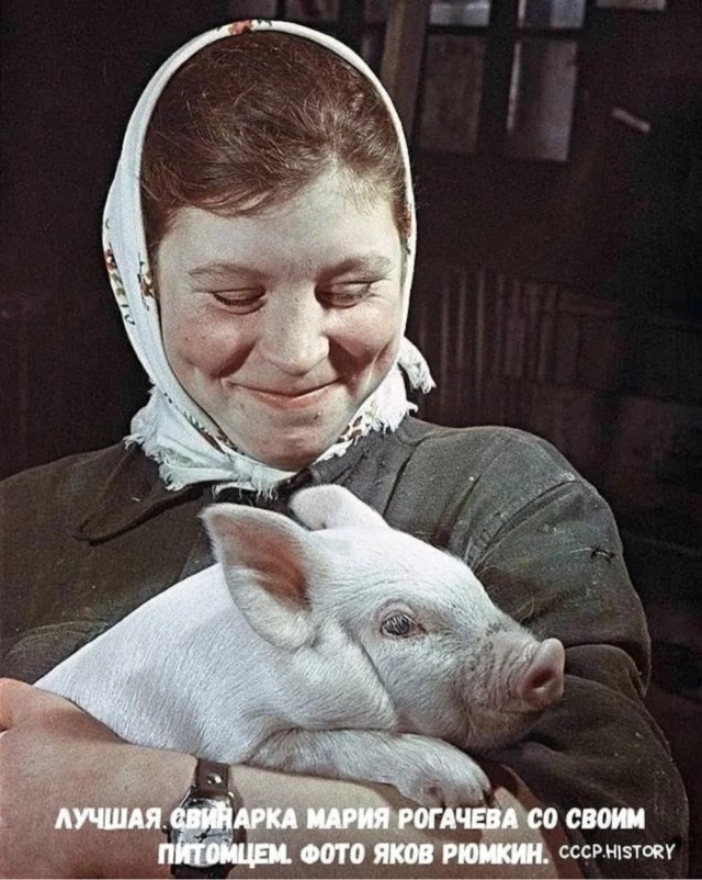 ​ Фотографии из прошлого нашей страны – 116