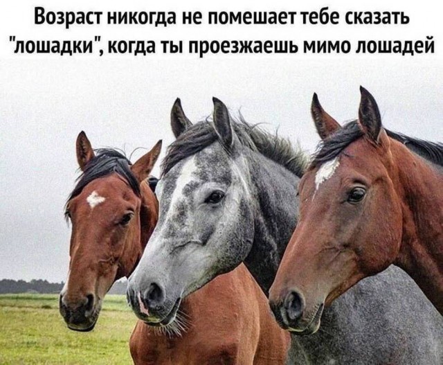 Веселые картинки в понедельник (01.09(