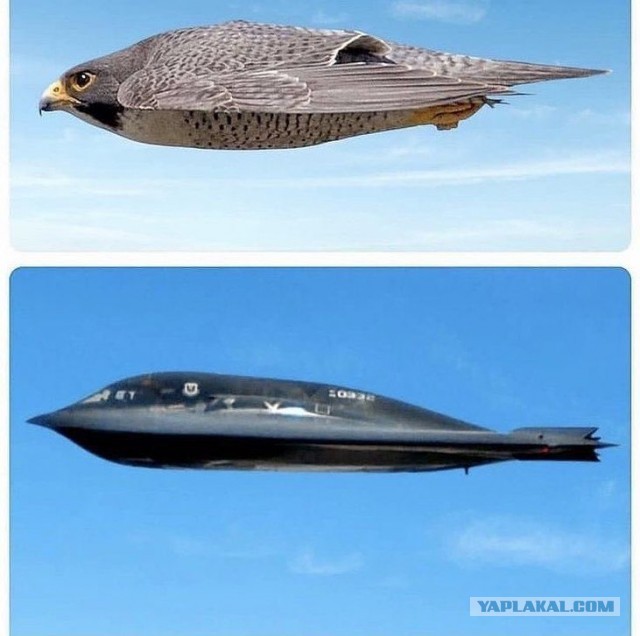 Второй стратегический  бомбардировщик B-21A "Raider" совершил первый полёт