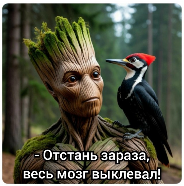 Картинки для деградации 46 (разной степени свежести)