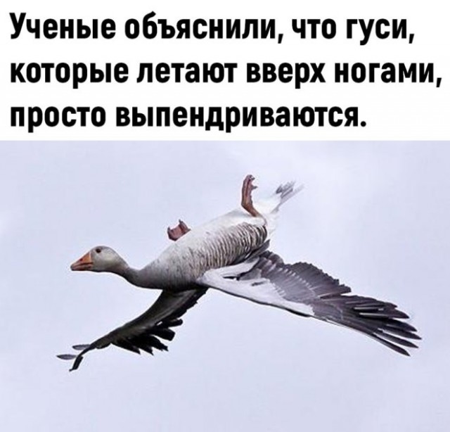 Картинки для деградации 53 (разной степени свежести)