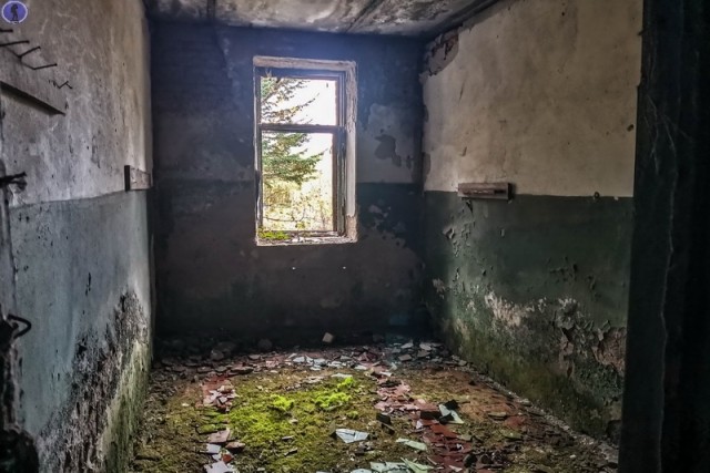 Нашли в Дальневосточном лесу заброшенную топографическую базу