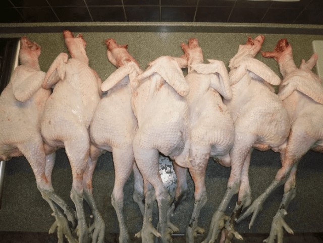 Почему в СССР куры продавались с лапками и головами, а сегодня их убирают