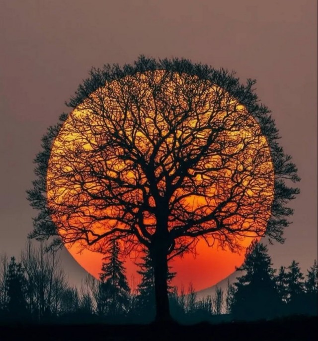 Картиночки на 15.01.2026