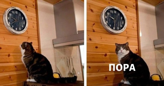 Приставы начали исполнительное производство по аресту имущества Анатолия Чубайса