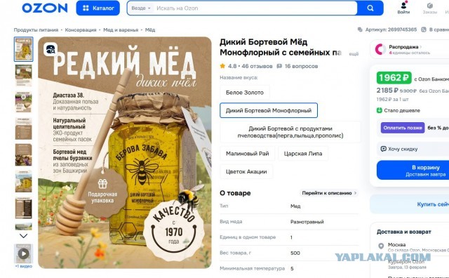 Сбор мёда диких пчёл