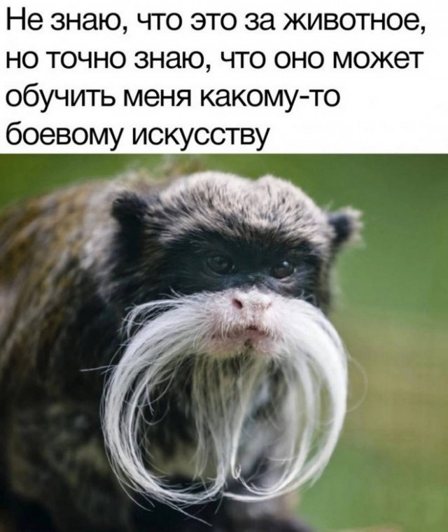 Понедельника картинки