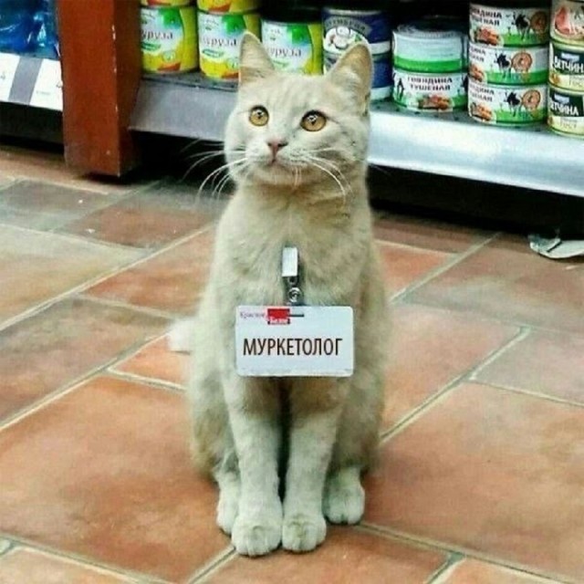 Так себе картинки 03.03.26