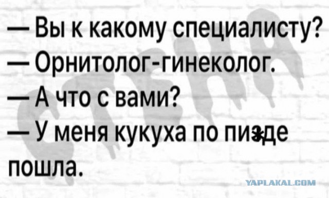 Вундеркинд-психолог Алиса Теплякова берёт по 50 тысяч рублей за приём