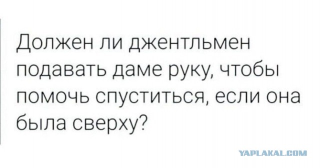Картиночки, баянчики 29 марта