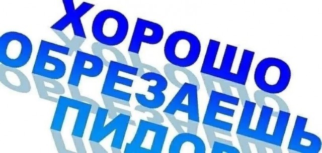 "Shit happens" (с) Форрест Гамп