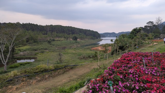 Провинция Фуйен