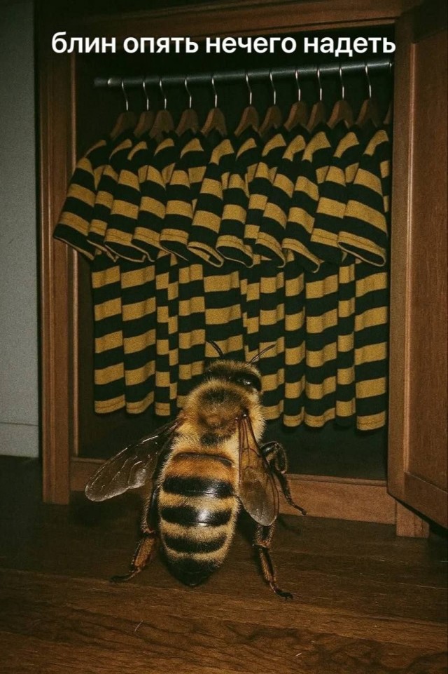 Картинки для деградации 184 (разной степени свежести)