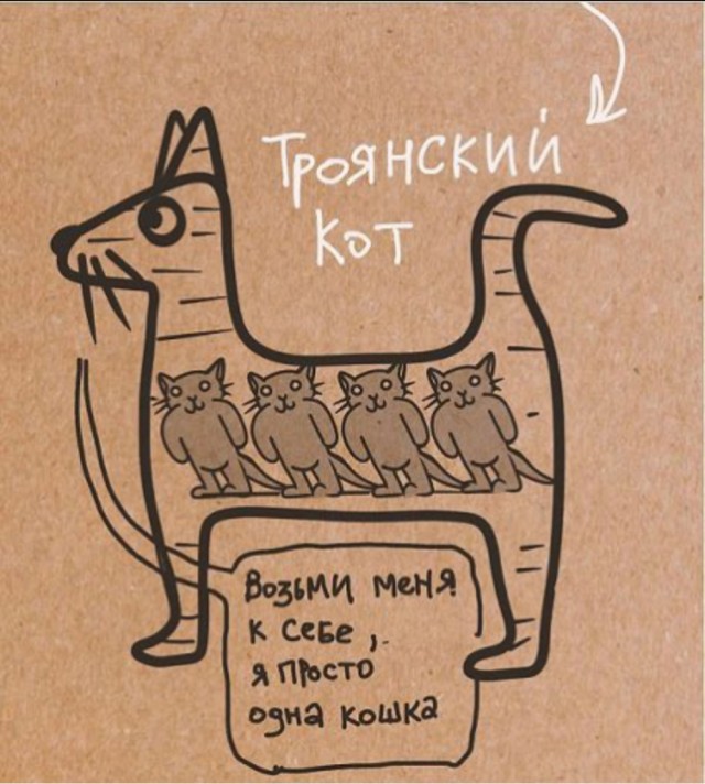 Девушка каждый день кормила бездомную кошку, а когда та родила единственного котёнка, то вежливо попросила забрать его