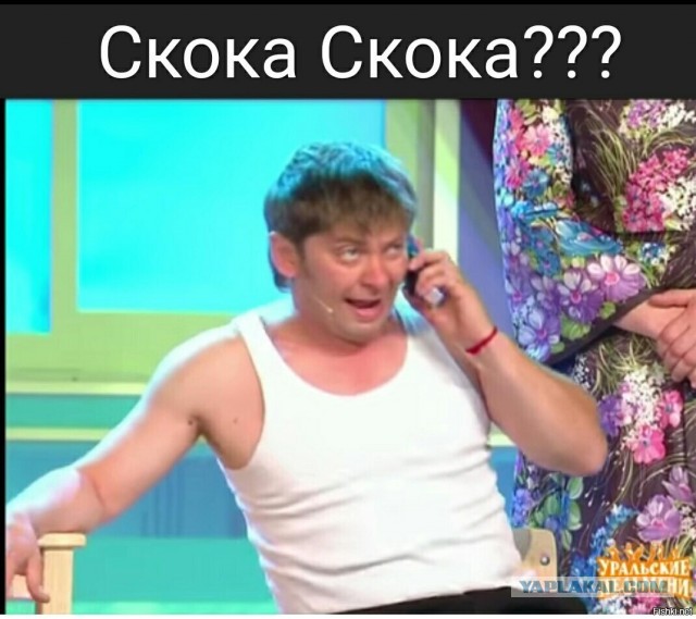 Нафига считать пельмени?