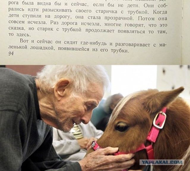 Воскресные картинки