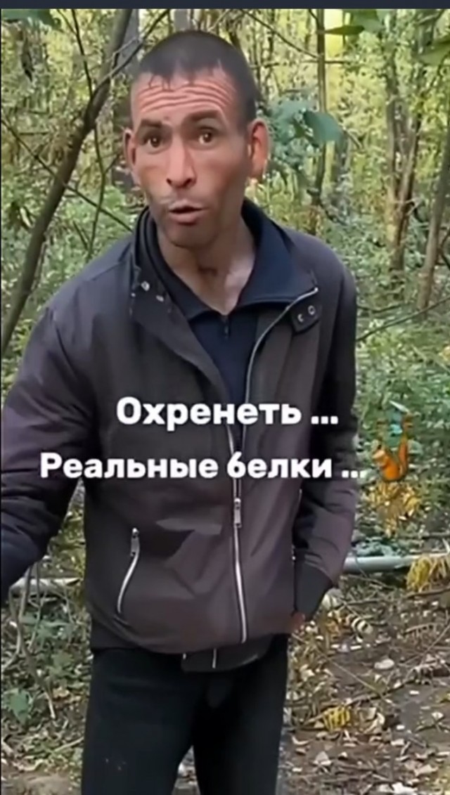 Белочка пришла