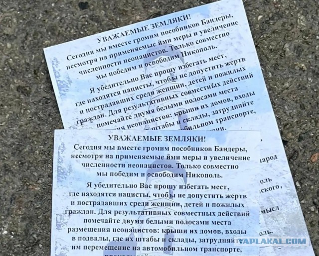Путину доложили об открытом письме Зеленского в его адрес