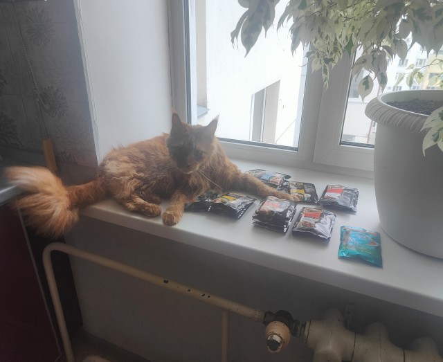 У каждого свой рыжик