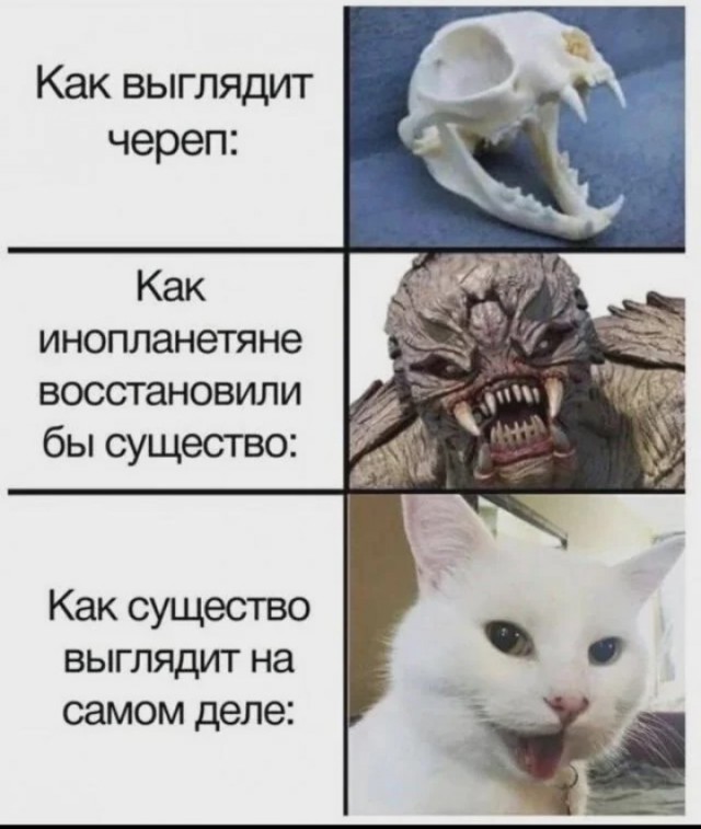 Давно на палочке!