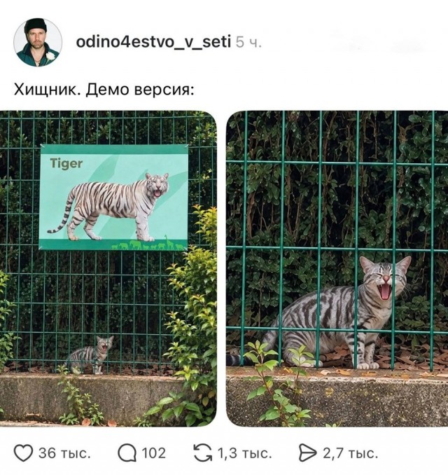 Так себе картинки 12.10.26